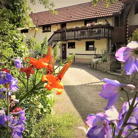 Bogentenne * Eußenheim